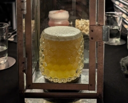 bar-image-1