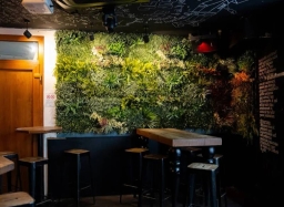 bar-image-1
