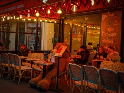 bar-image-1