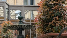 bar-image-1
